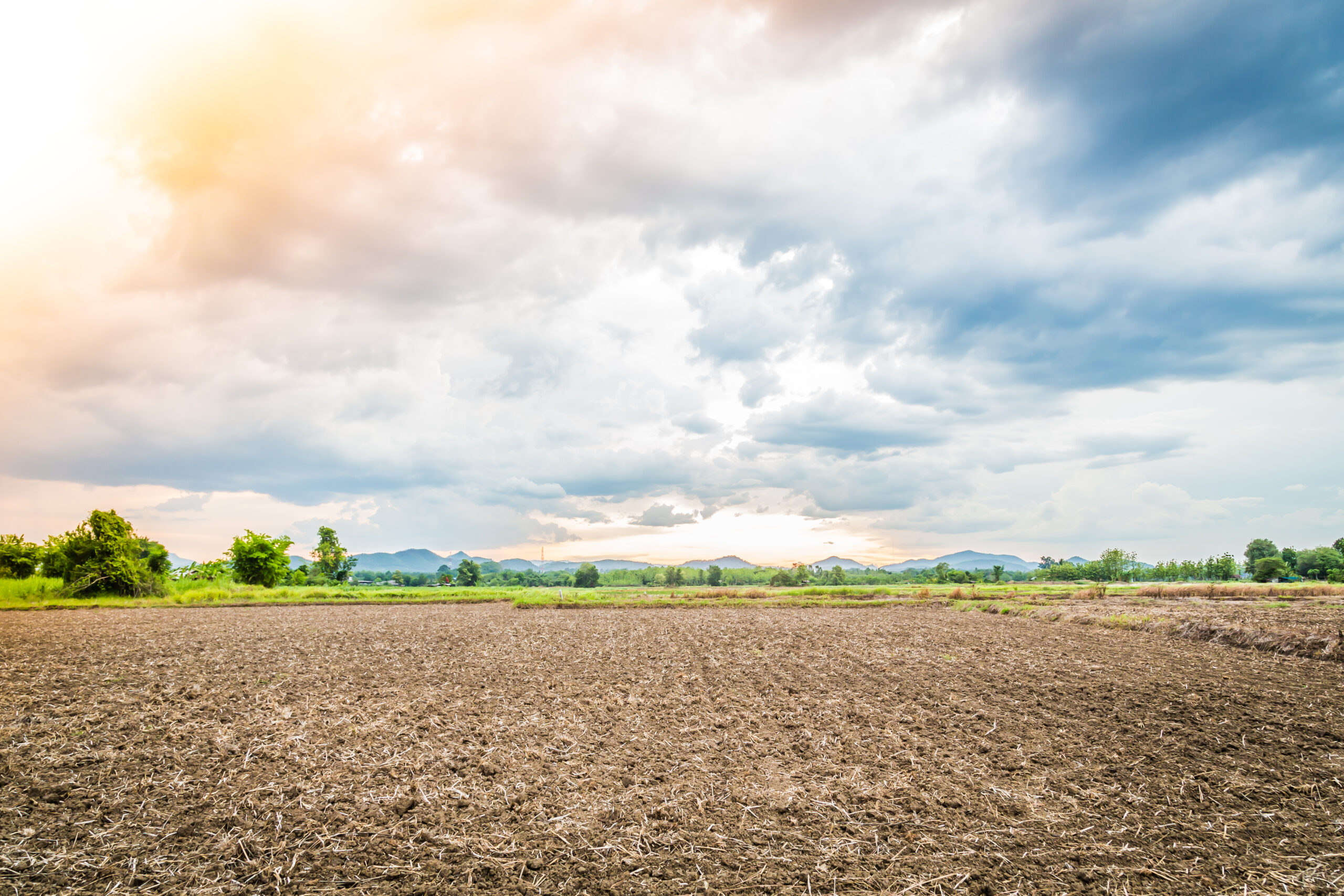 Ploughed field ( Filtered image processed vintage effect. )