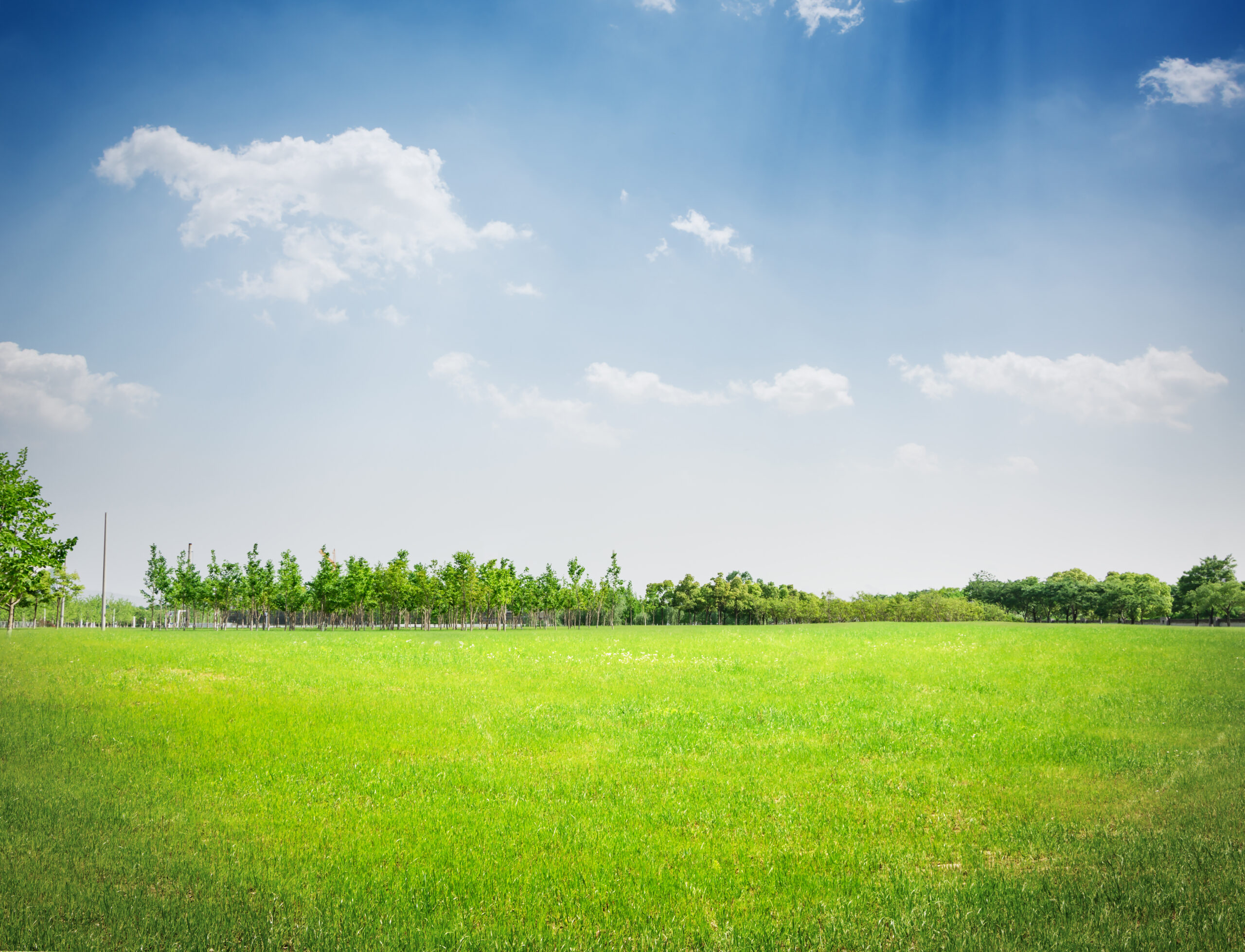 Green field under blue sky. Beauty nature background