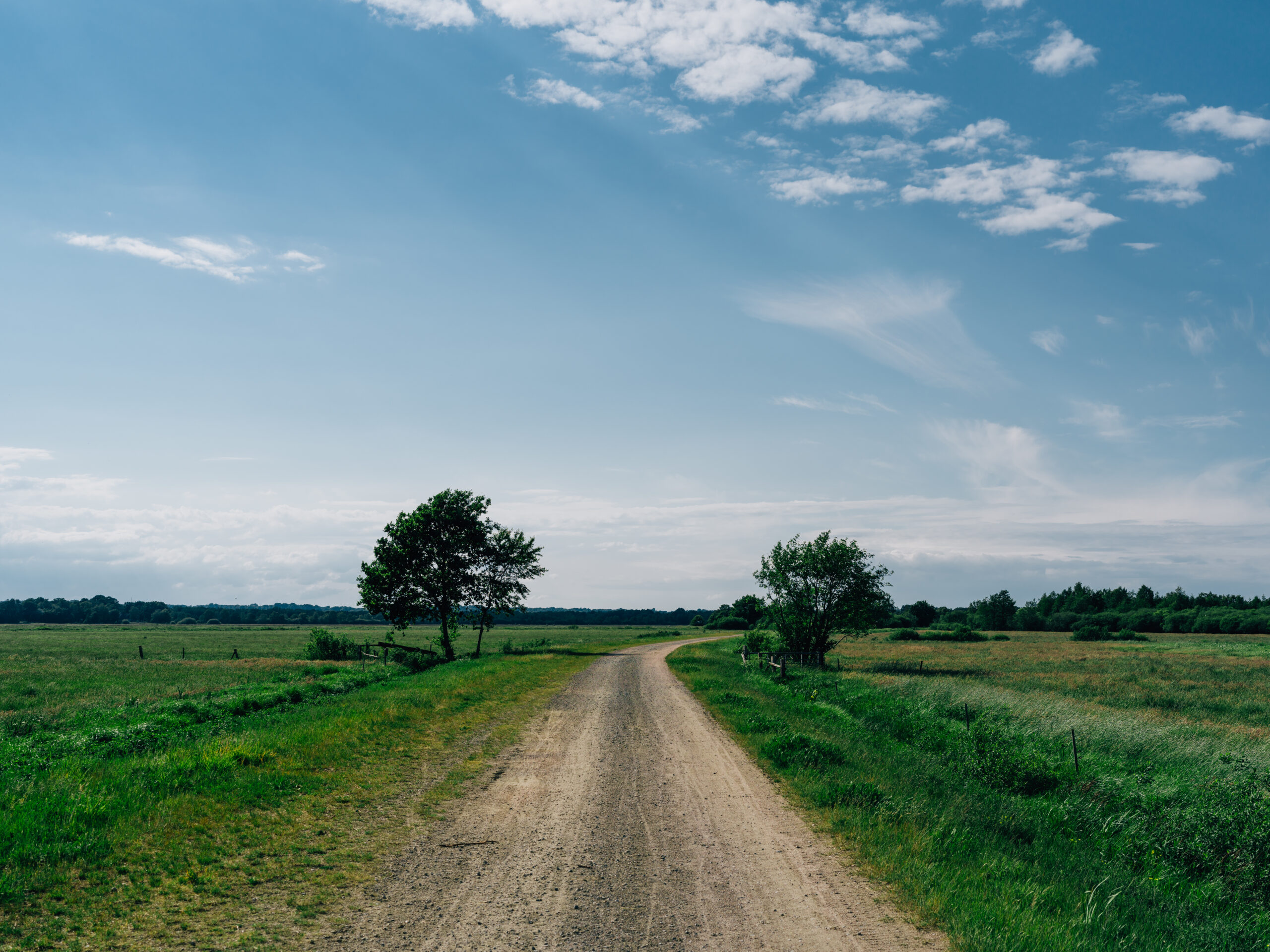A road surrounded by field covered in greenery under a blue sky in Teufelsmoor, Osterholz-Scharmbeck, Germany